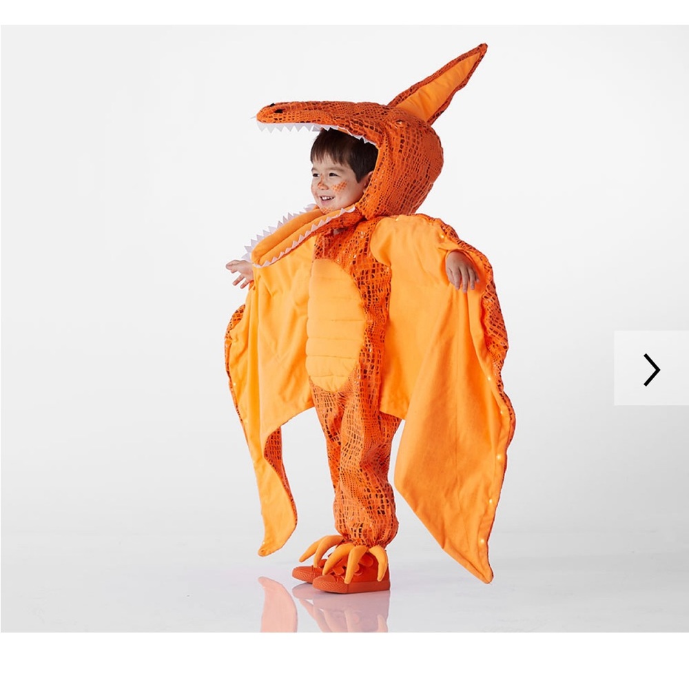 Pottery Barn Pterodactyl light up costume